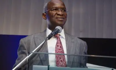 APC membership revalidation will ‘clean up’ dead people’s appointment – Fashola