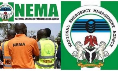 NEMA justifies sack of 48 workers