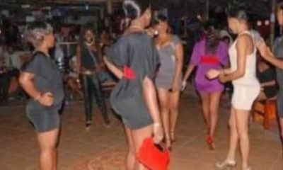 Another LG Bans Prostitution, Alcohol Businesses in Jigawa