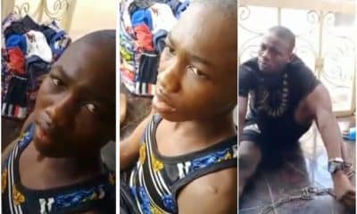 Houseboy And Elder Brother Connived To Poison Boss Wife Food With Sniper (WATCH FULL VIDEO)