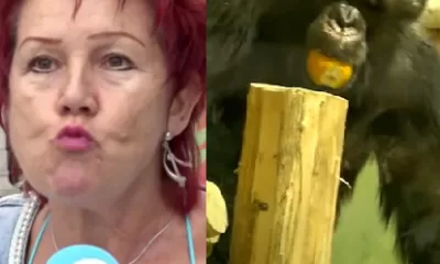 Woman Banned From Zoo