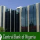 Central Bank Issues E-Naira Guidelines