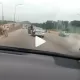 Cows cause an accident in Abuja