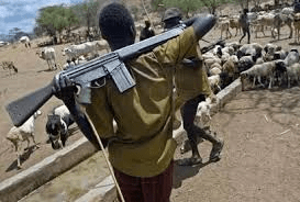 Herdsmen With Ak-47