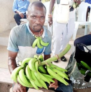 Stealing Plantain