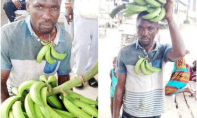 Stealing Plantain