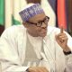Buhari Can’t Sack Police Officers