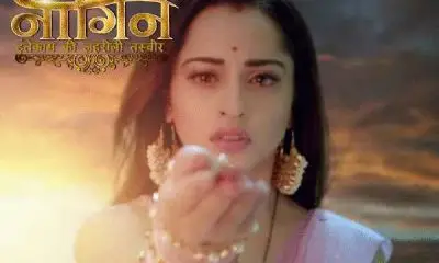Naagin 6 (Colors Tv) Show Cast, Timing, Cast Real Name, Repeat Telecast Timing, Wiki, Updates & Many More