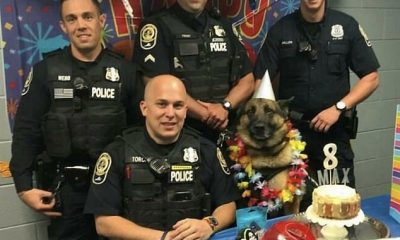 A good boy: Virginia K-9 officer Max puts his paws up and celebrates his birthday in style at a party organised by his human co-workers
