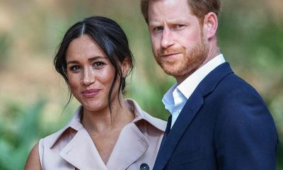 Prince Harry and Meghan Markle pictured together at the British High Commissioner residency in Johannesburg in October 2019