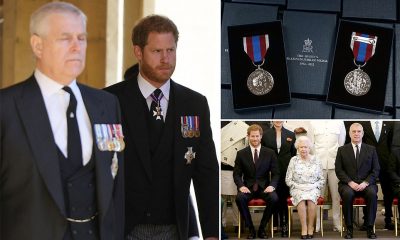 Prince Andrew and Prince Harry face a new double humiliation as royal officials are mulling ways to remove another of their significant roles, while also denying them Jubilee medals like other veterans.