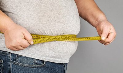 Three in five adults in England are overweight. More than one in four is obese, placing them at an increased risk of cancer, heart disease and type 2 diabetes (file photo used)