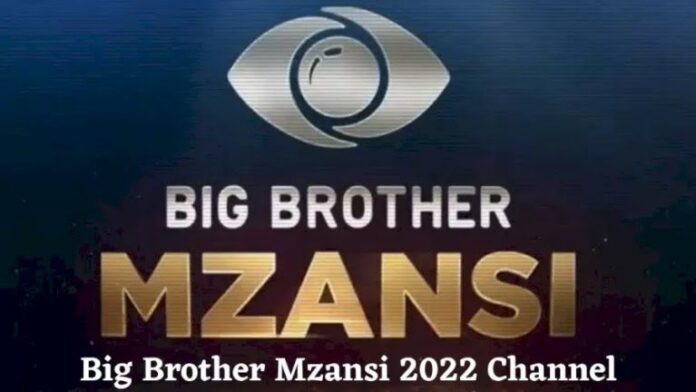 Big Brother Mzansi 2022: Mzansi Channels On DSTV, GOtv & More » Gist Flare