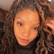 Halle Bailey Responds To Backlash After Sharing Her Cover Of 'Hrs And Hrs'