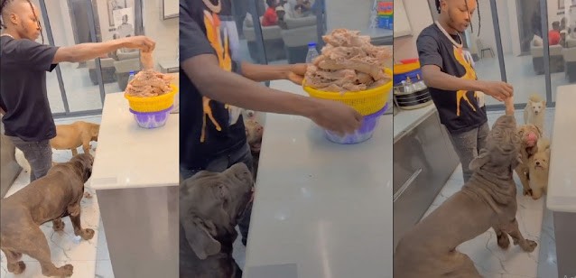EFCC Need to Arrest him Again, see full meat he dey Dog chop – Nigerians reacts to video of singer, Naira Marley feeding his dogs (Video)