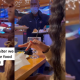 TikToker “Pranks” Waiter by Canceling Order Right as They Bring out Their Food