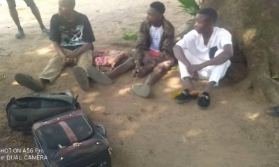 Suspected Yahoo boys arrested in a hotel after being caught with live snake in their luggage - YabaLeftOnline
