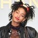 Willow Smith Announces Debut Novel: "I Couldn't Be More Excited"
