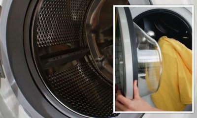 ‘Brand new’: Mrs Hinch fans share 38p hack for removing mould from washing machine seals