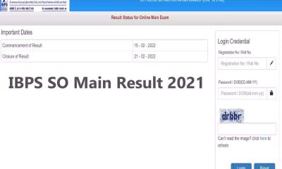 Ibps Results: IBPS SO Main Results 2021, Official Results 2022 Out On Ibps.in - Gadget Clock