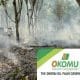 After Gunmen Attack Okomu Oil Palm Company Suspends Operations