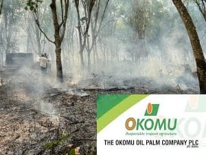After Gunmen Attack Okomu Oil Palm Company Suspends Operations