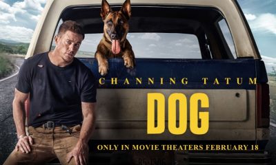 DOG Movie (2022): Cast, Actors, Producer, Director, Roles and Rating - Wikifamouspeople