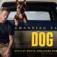 DOG Movie (2022): Cast, Actors, Producer, Director, Roles and Rating - Wikifamouspeople