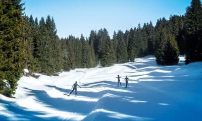 Starting Cross-Country Skiing: Advice And Equipment - Emma Citizen