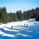 Starting Cross-Country Skiing: Advice And Equipment - Emma Citizen