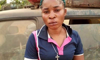 housewife allegedly stabs