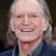 David Bradley (Actor) Wiki, Biography, Age, Girlfriends, Family, Facts and More - Wikifamouspeople
