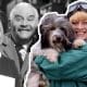 Who was Lynda Baron? Actress Dies at 82, Cause of Death, Net worth, Family, Husband John M. Lee
