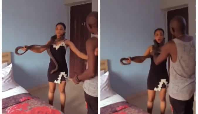Nollywood actress screams fearfully as big Snake wraps itself around her neck