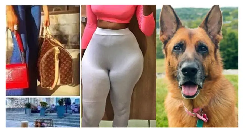 Why I Knack Dog, Confession of a Lagos Slay Queen
