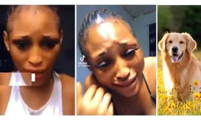 Lagos Slay Queen in Viral Dog VIDEO in tears