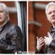 what-does-daniel-assange-do-for-a-living