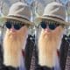 is-billy-gibbons-still-alive-or-dead