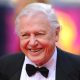 Who is David Attenborough? Bio, Net worth, Wife, Children, Age, Parents, Instagram - Nsemwokrom.com