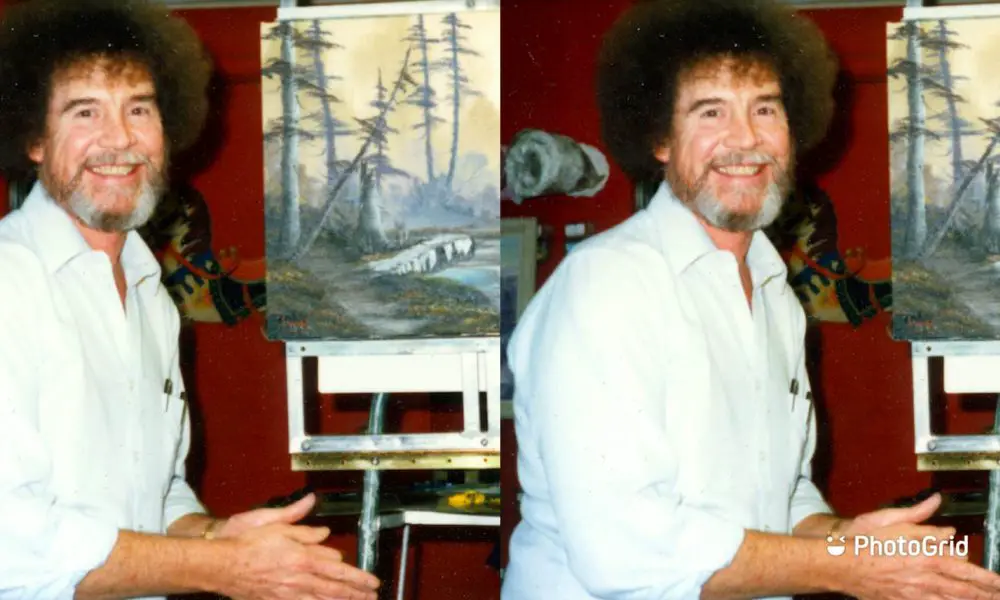 What-disease-did-Bob-Ross-have?