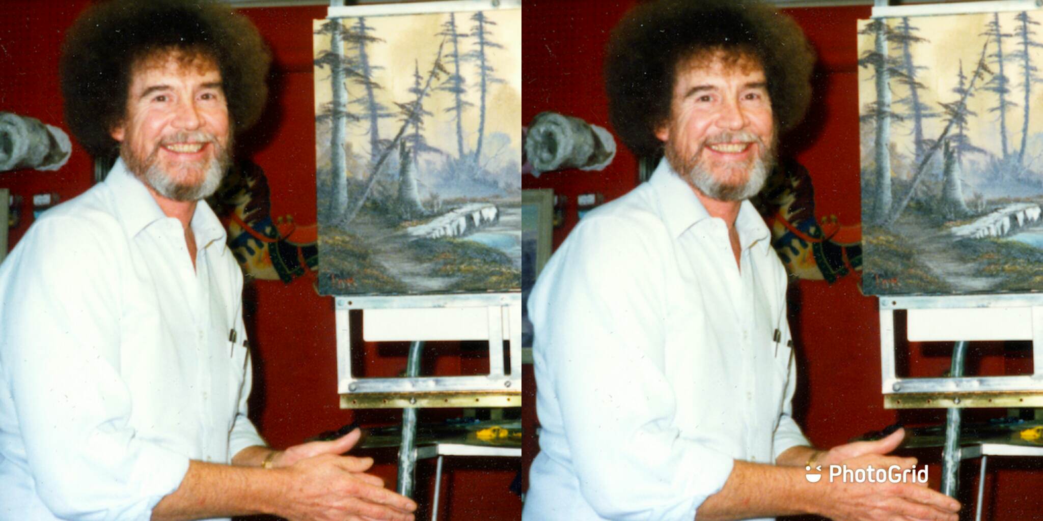 What-disease-did-Bob-Ross-have?
