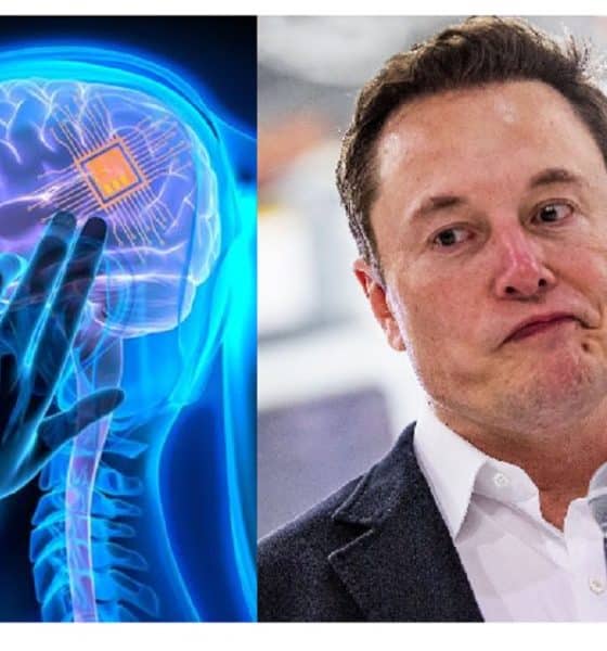 US Rejected Elon Musk’s Bid to Test Brain Chips on Humans that could Cure Blindness and Paralysis